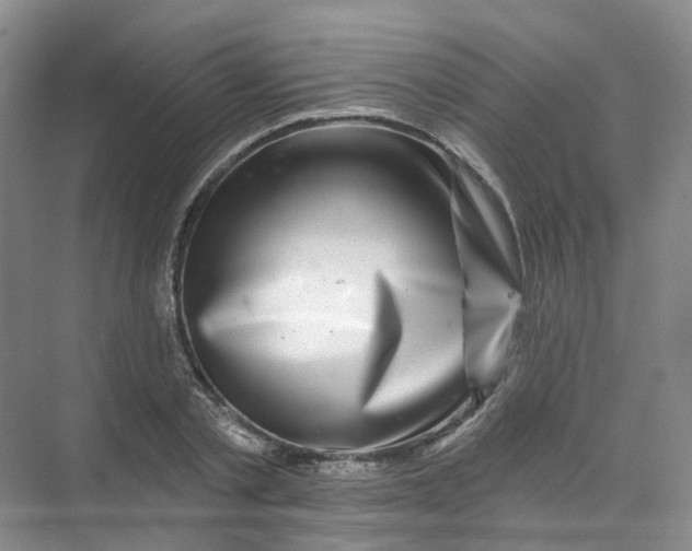 X0000074040789200609181951