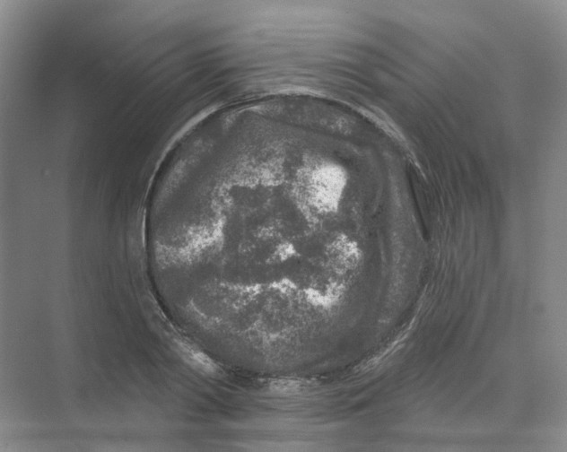 X0000074040790200609181951