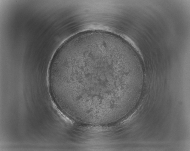 X0000074040791200609181951