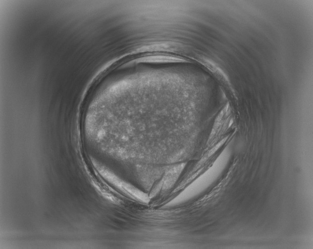 X0000074040792200609181951