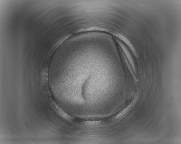 X0000074040793200609181951