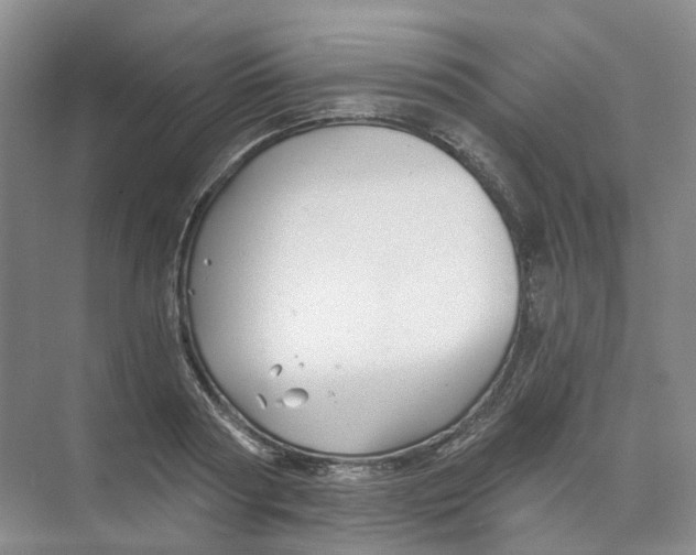 X0000074040794200609181951