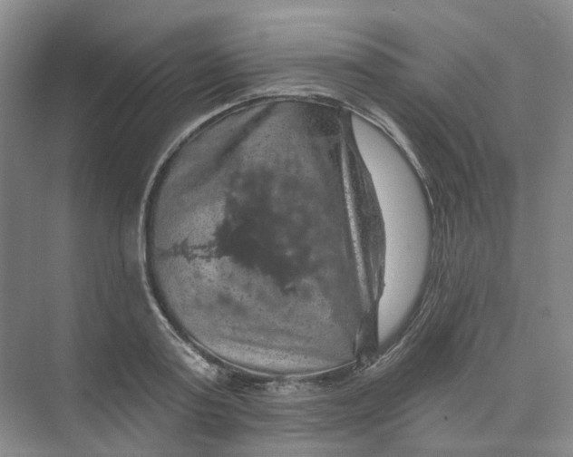 X0000074040795200609181951