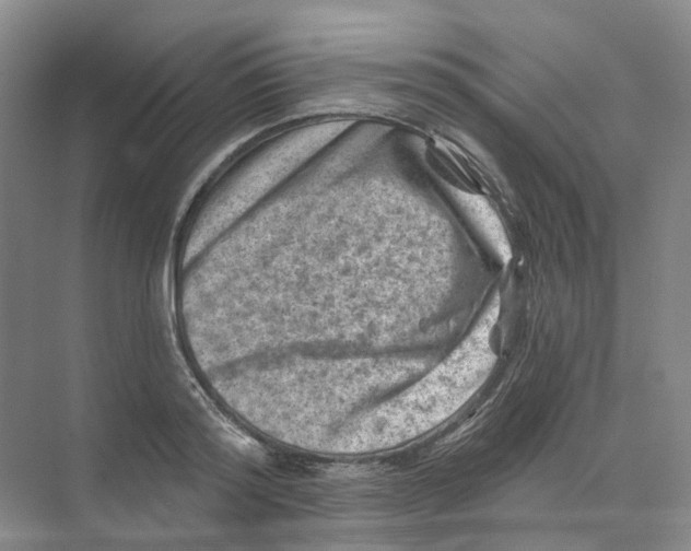 X0000074040796200609181951