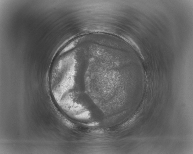 X0000074040798200609181951