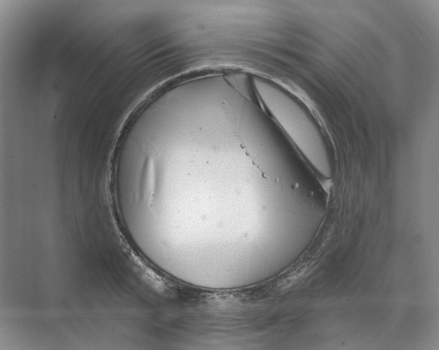 X0000074040799200609181951