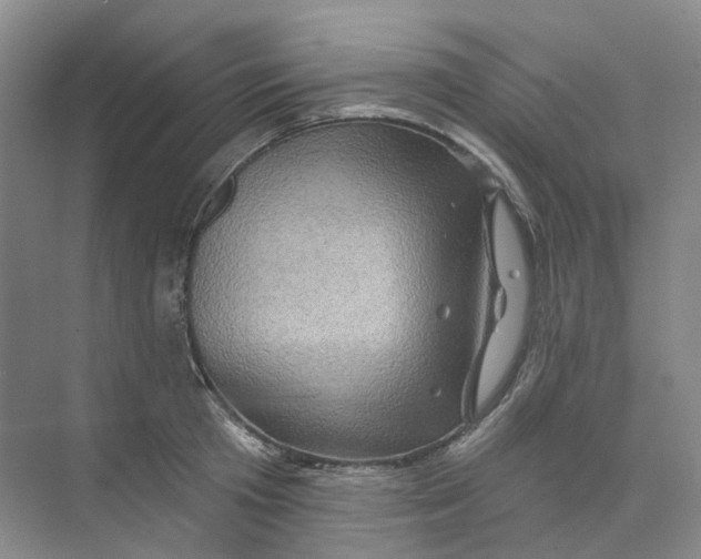 X0000074040801200609181951