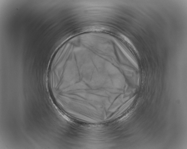 X0000074040802200609181951