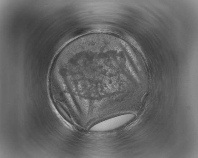 X0000074040803200609181951