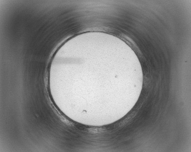 X0000074040804200609181951