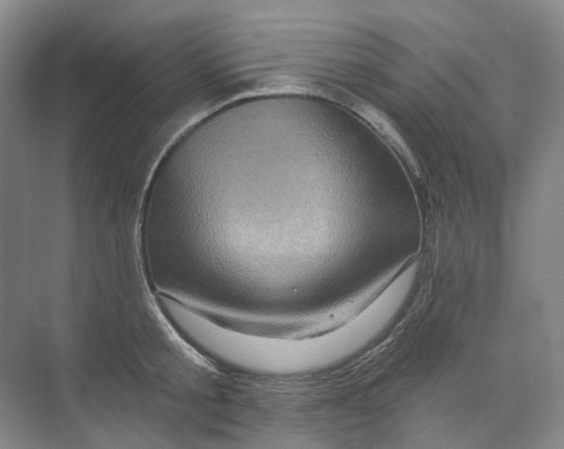 X0000074040805200609181951