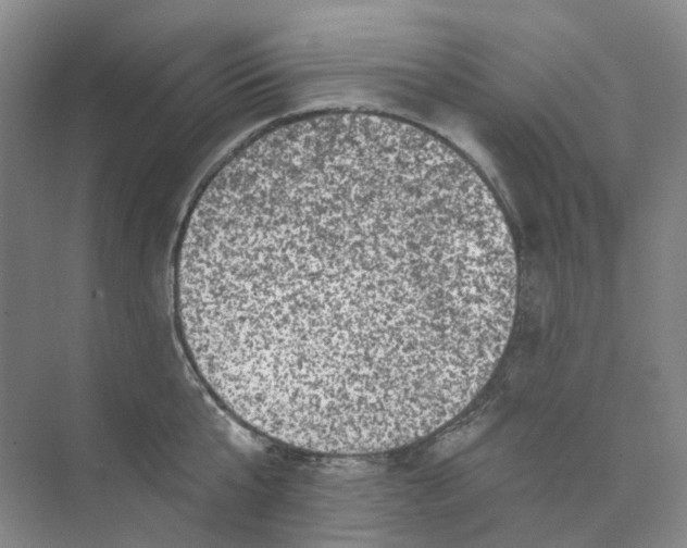 X0000074040807200609181951