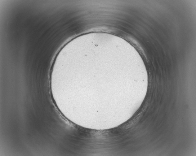 X0000074040808200609181951