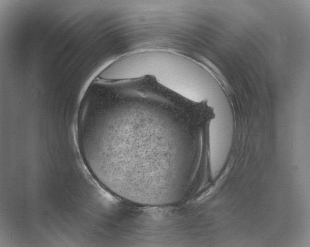 X0000074040812200609181951