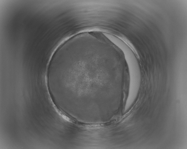 X0000074040813200609181951