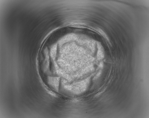 X0000074040814200609181951