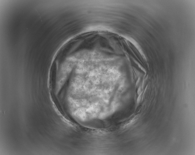 X0000074040815200609181951