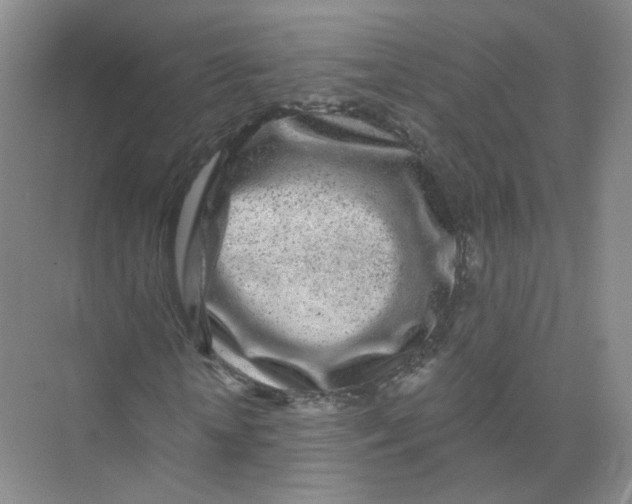 X0000074040818200609181950