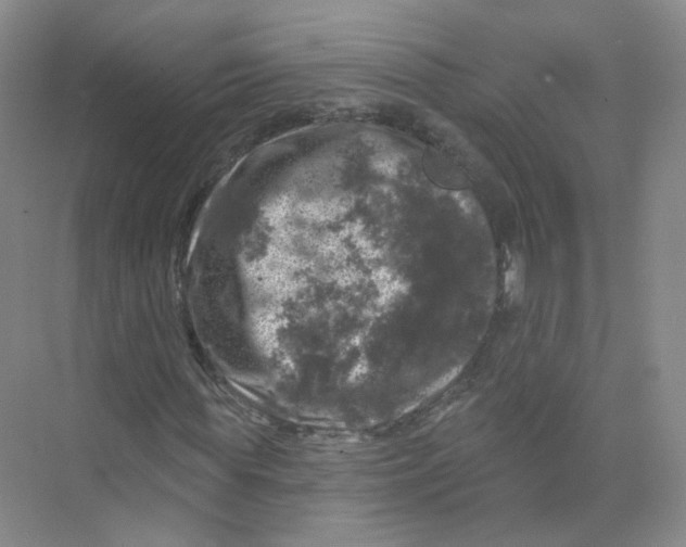 X0000074040819200609181950