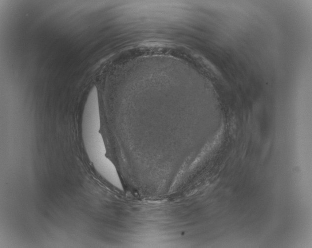 X0000074040821200609181950