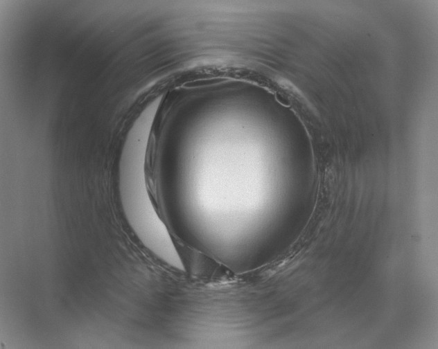 X0000074040822200609181950