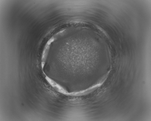 X0000074040823200609181950