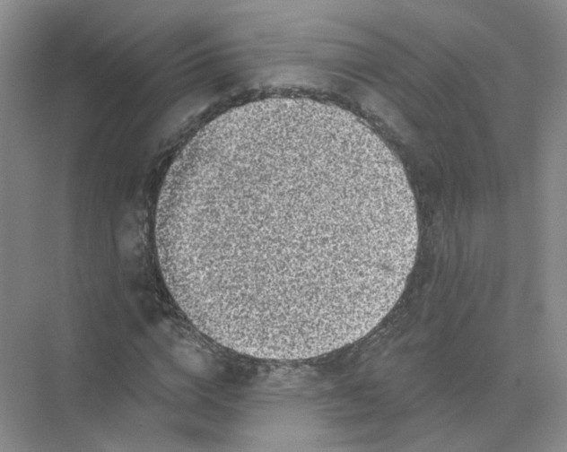 X0000074040824200609181950