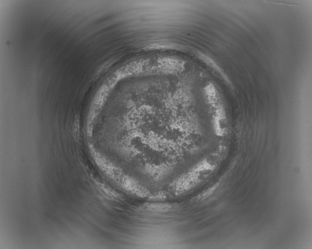 X0000074040825200609181950