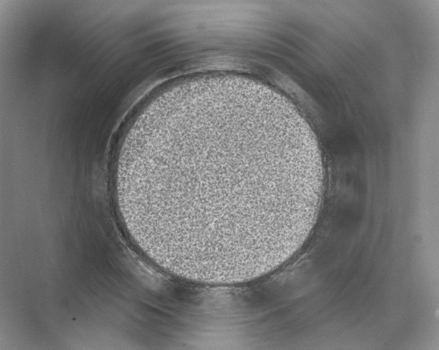 X0000074040828200609181950