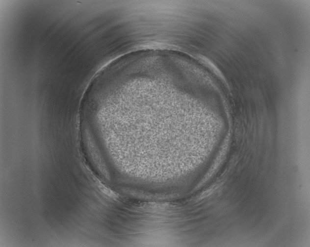 X0000074040831200609181950