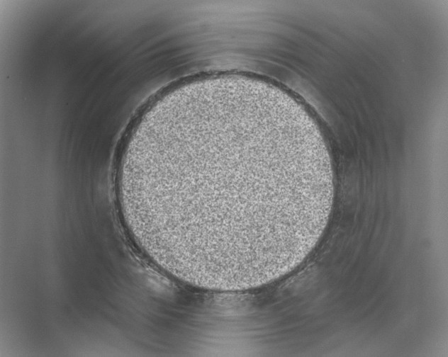 X0000074040832200609181950