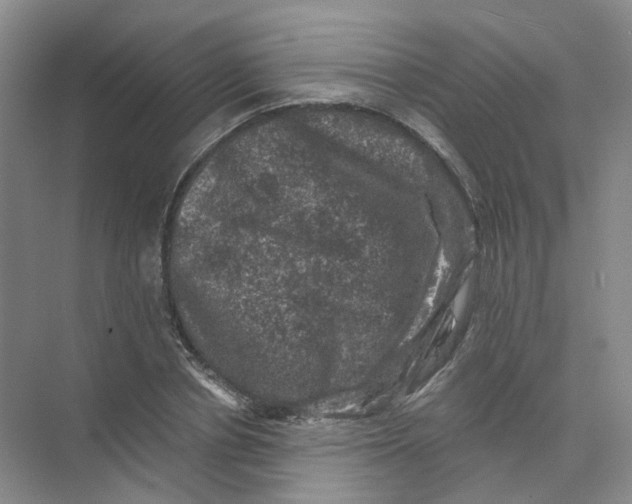 X0000074040834200609181950