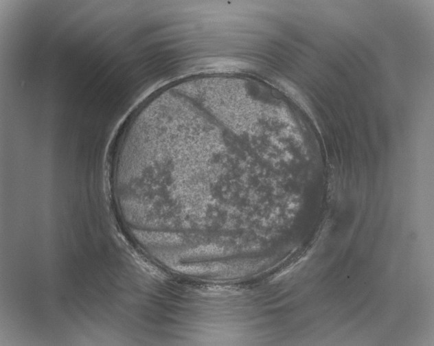 X0000074040835200609181950