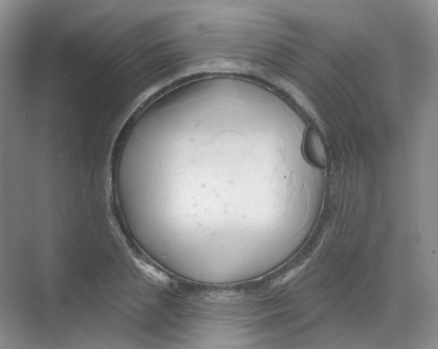 X0000074040837200609181950