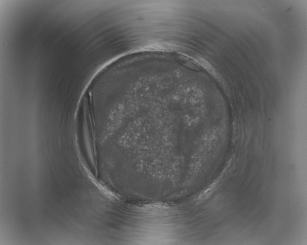 X0000074040838200609181950