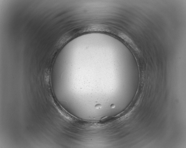 X0000074040841200609181950