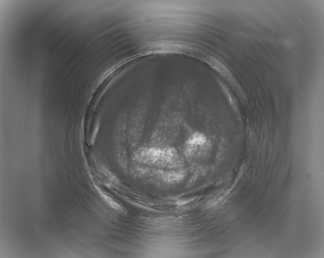 X0000074040842200609181950