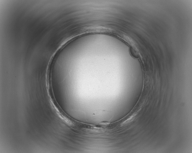 X0000074040843200609181950