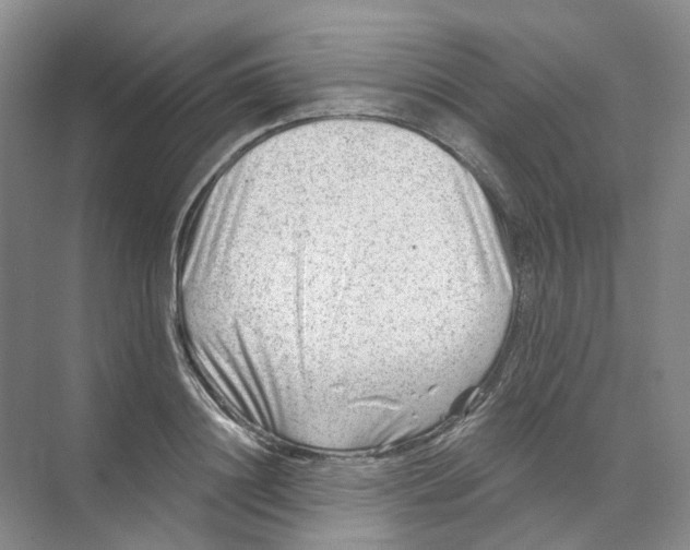 X0000074040844200609181950