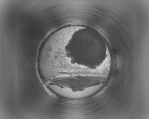 X0000074040845200609181950