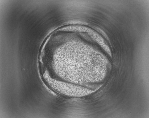 X0000074040847200609181950