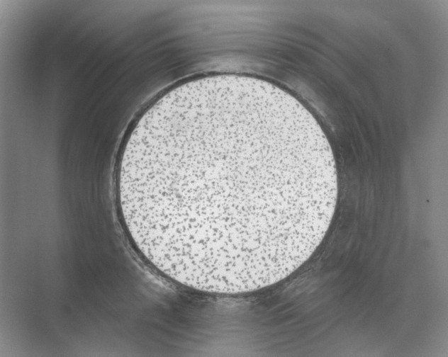 X0000074040848200609181950