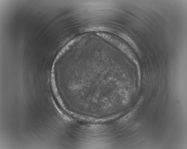 X0000074040849200609181950