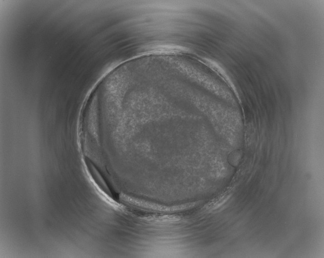 X0000074040851200609181950