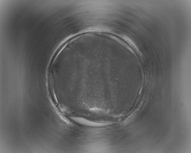 X0000074040854200609181950