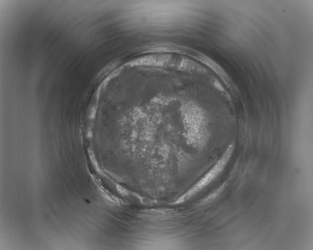 X0000074040857200609181951