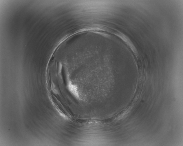 X0000074040858200609181951