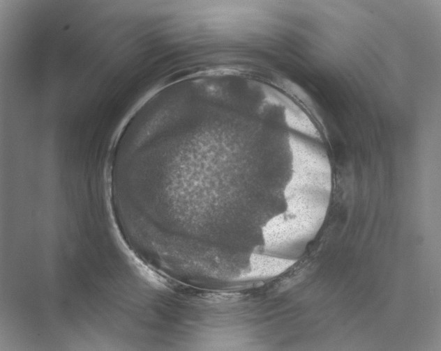 X0000074040859200609181951