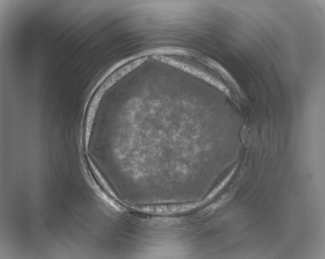 X0000074040860200609181951