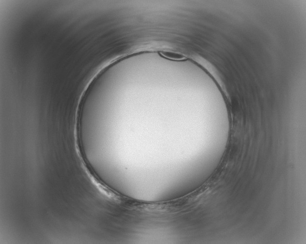 X0000074040861200609181951